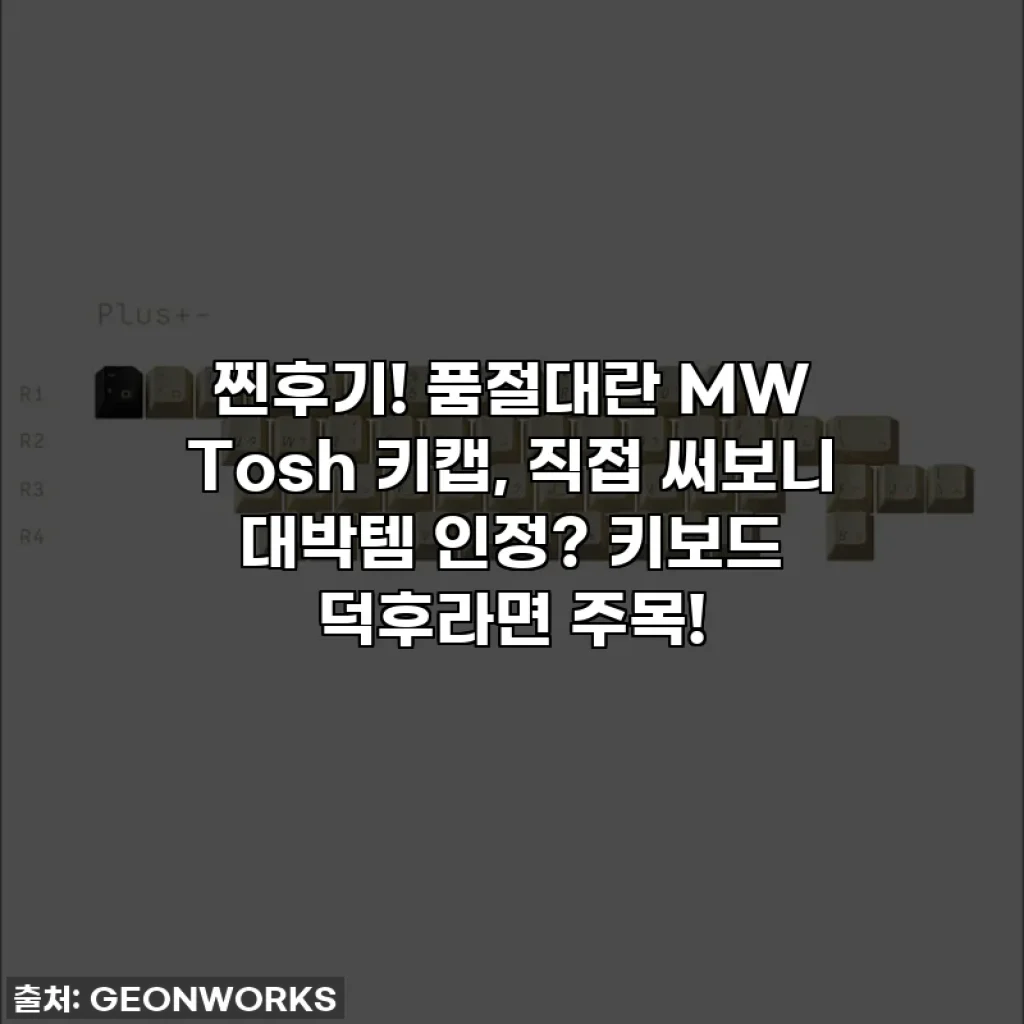 찐후기! 품절대란 MW Tosh 키캡, 직접 써보니 대박템 인정? 키보드 덕후라면 주목!