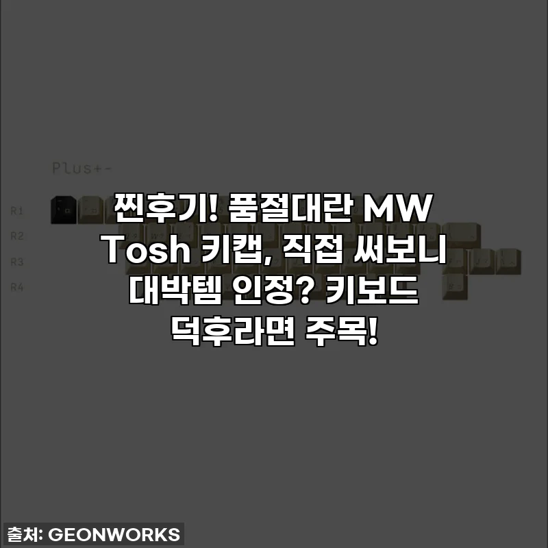 찐후기! 품절대란 MW Tosh 키캡, 직접 써보니 대박템 인정? 키보드 덕후라면 주목!