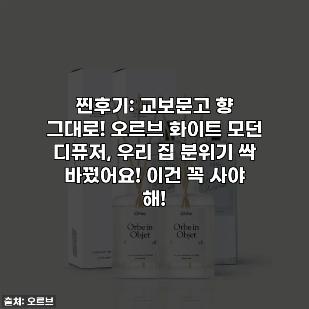 찐후기: 교보문고 향 그대로! 오르브 화이트 모던 디퓨저, 우리 집 분위기 싹 바꿨어요! 이건 꼭 사야 해!