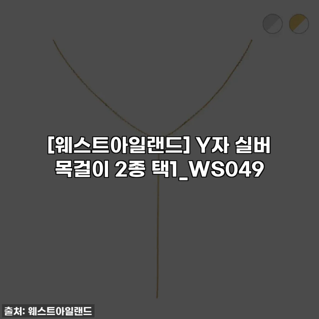 [웨스트아일랜드] Y자 실버 목걸이 2종 택1_WS049