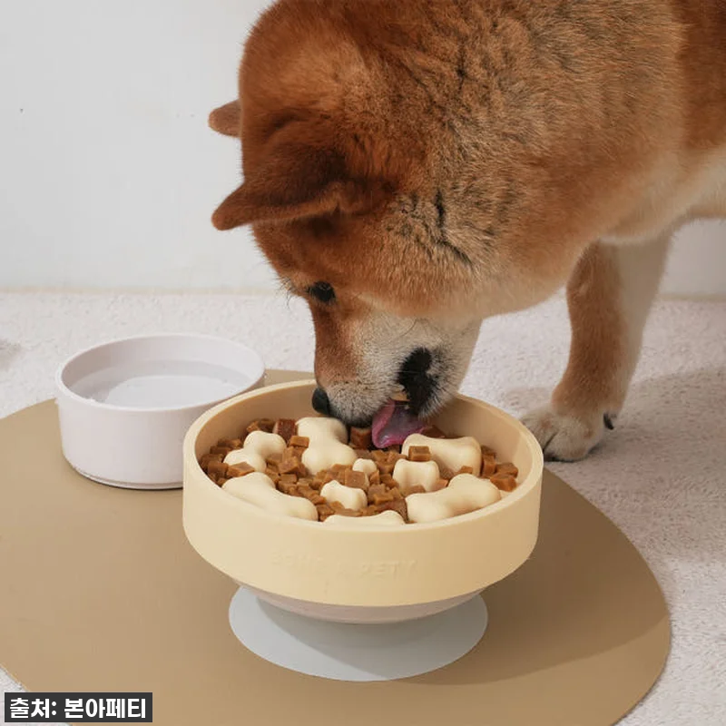 급하게 먹는 몽이, 이제 걱정 끝! 관련 이미지 1