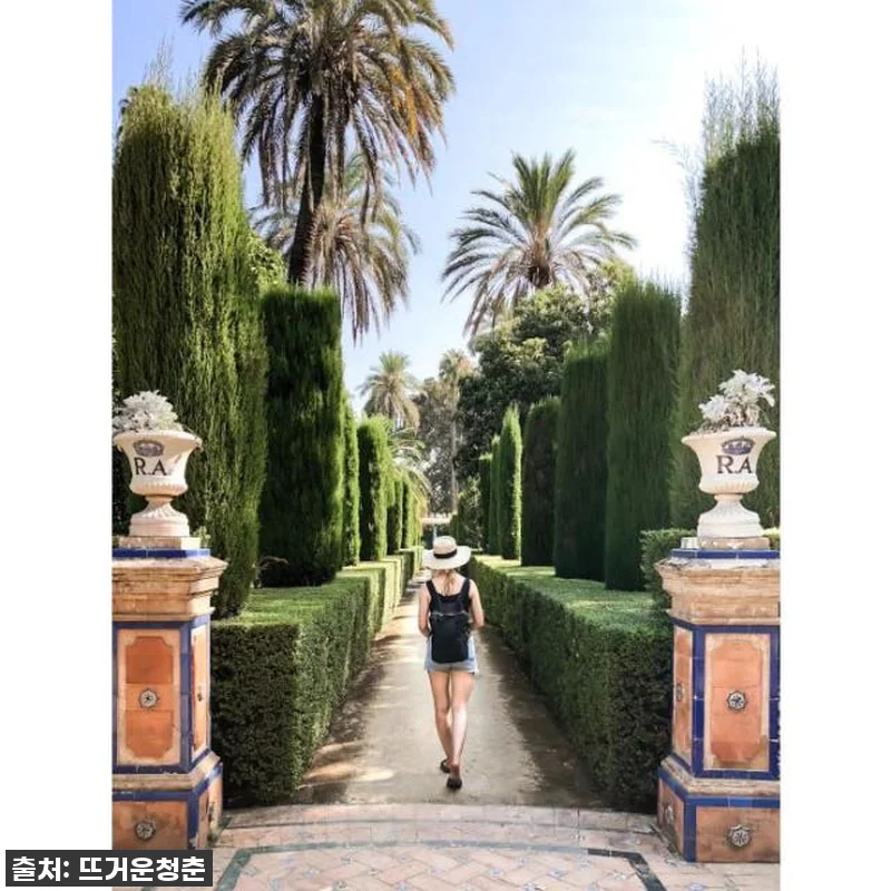 이 가격 실화?! 스페인 세비야 알카 관련 이미지 1