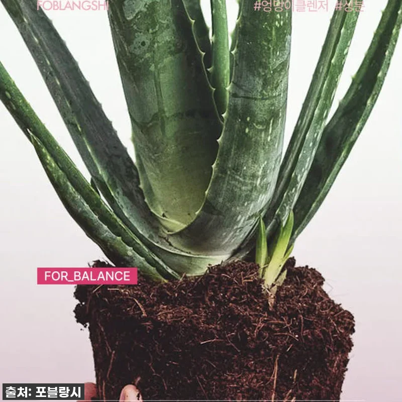 지금 안 사면 후회할 걸? 품절임박! 관련 이미지 3