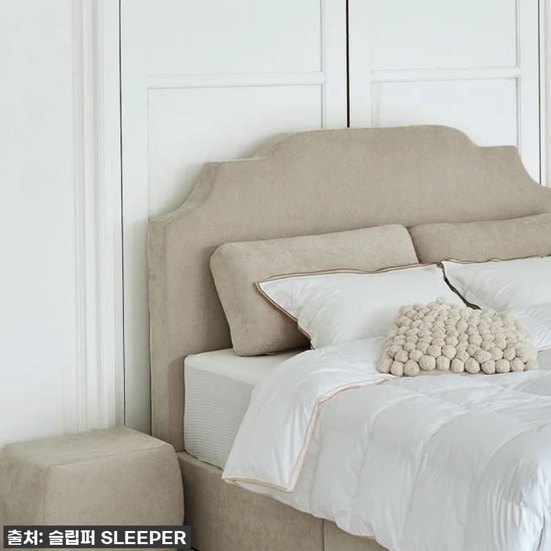 진심 레알! 슬립퍼 엘리쉬 라지킹 침 관련 이미지 3