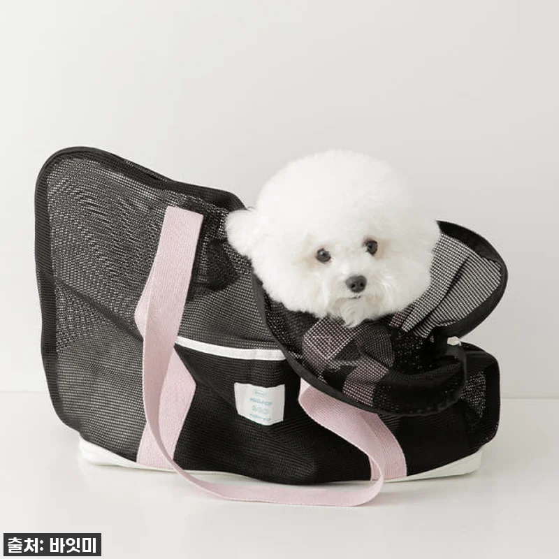 이동가방 유목민 주목! 찐 인생템 강 관련 이미지 5