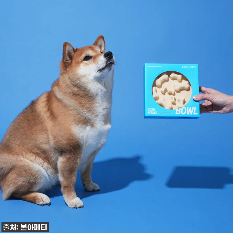 급하게 먹는 몽이, 이제 걱정 끝! 관련 이미지 5