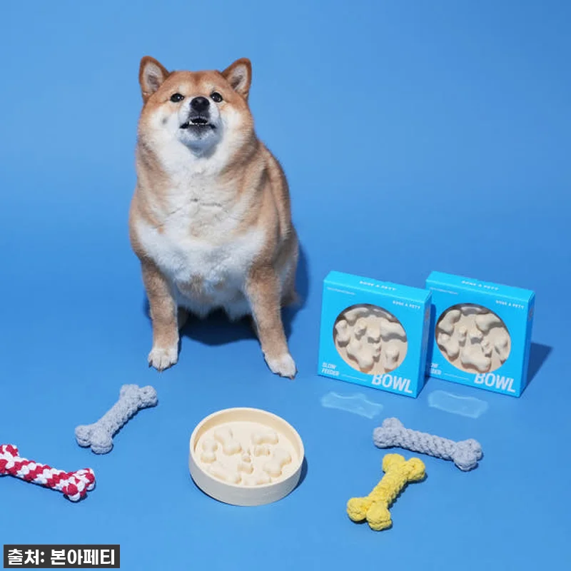 급하게 먹는 몽이, 이제 걱정 끝! 관련 이미지 6