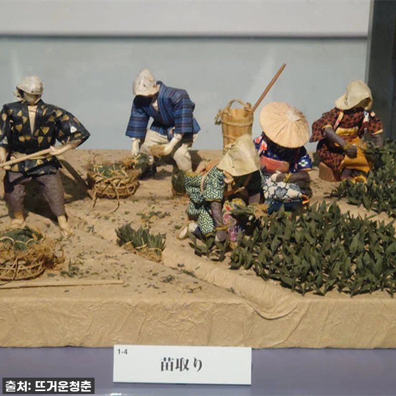 일본 잿물발효 천연염색제를 이용한 쪽 관련 이미지 6