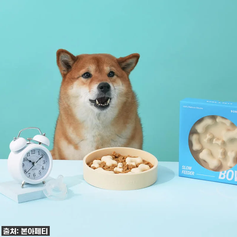 급하게 먹는 몽이, 이제 걱정 끝! 관련 이미지 7