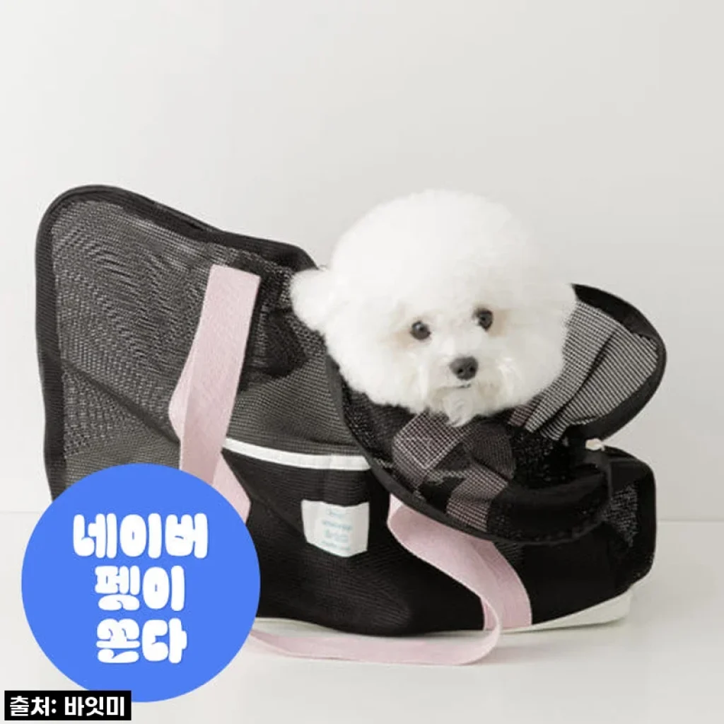 이동가방 유목민 주목! 찐 인생템 강아지 슬링백 캐리어, 드디어 정착했어요! (feat. 품절각)