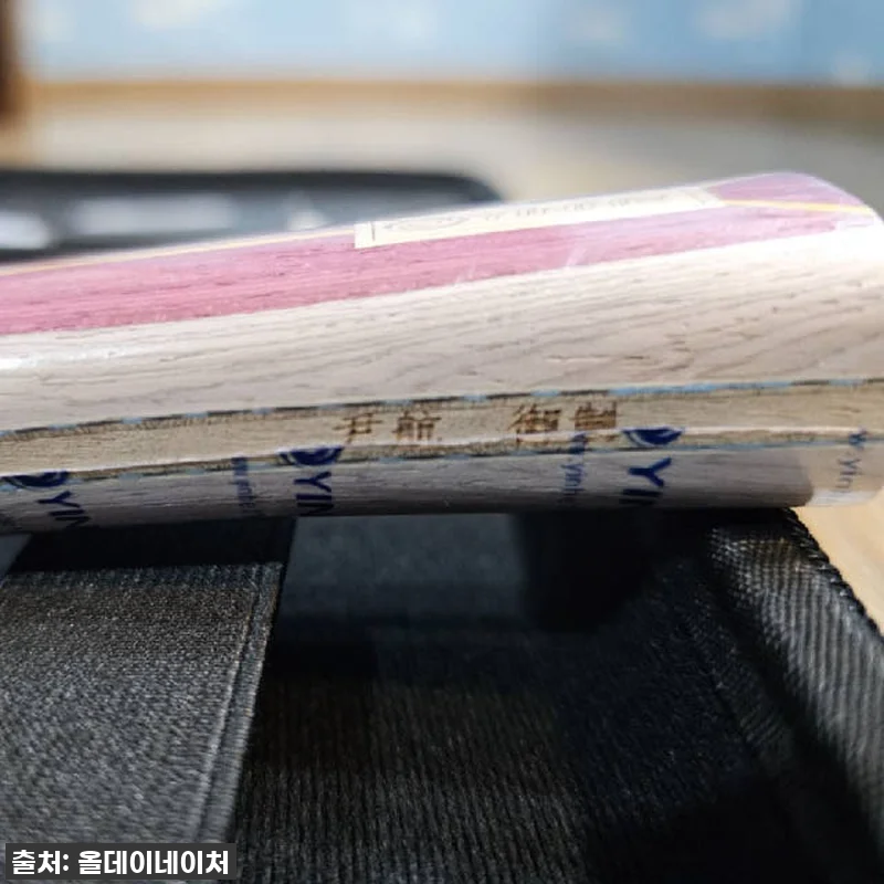 이건 진짜 '선수용'이 맞습니다! 은 관련 이미지 1