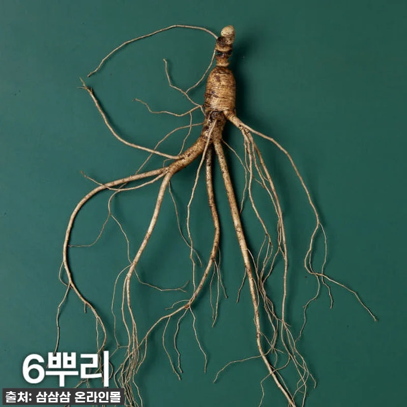 피곤함은 이제 안녕! 10년근 산양산삼으로 찾은 활력, 제가 직접 경험해봤어요! 5 피곤함은 이제 안녕! 10년근 산양산 관련 이미지 1