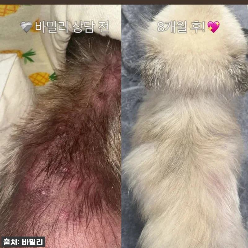 환절기 민감 두피 구원템? 바밀리 알 관련 이미지 1