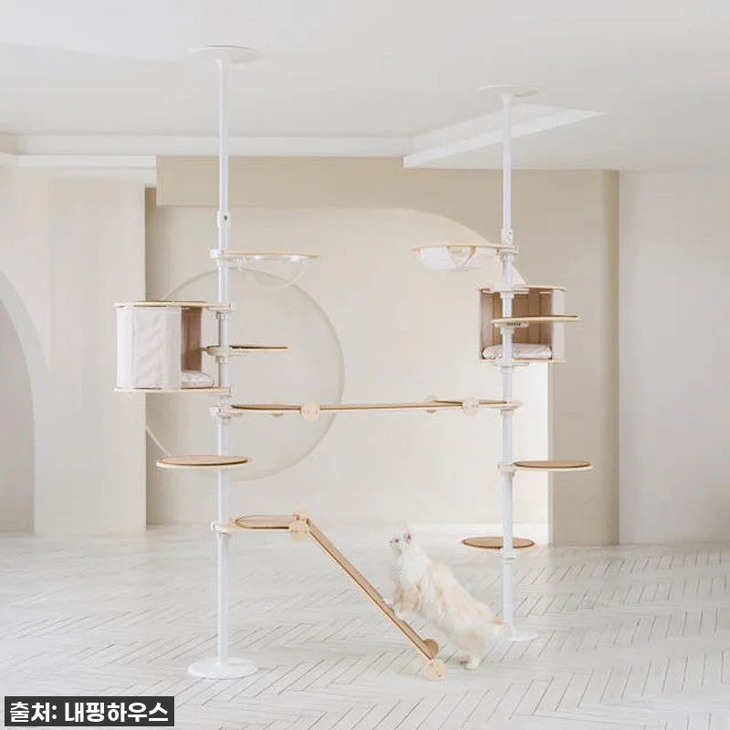 우리 냥님들의 꿈의 궁전! 내핑하우스 관련 이미지 1