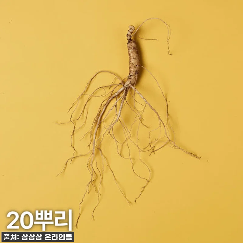 환절기 기력 회복엔 역시 이거! 5, 관련 이미지 1