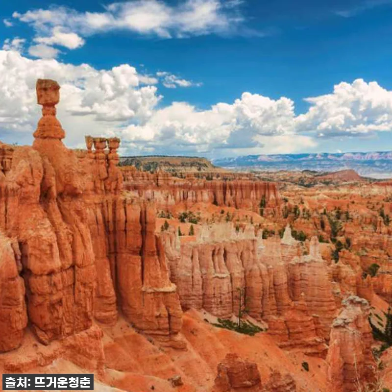 그랜드 캐년 사우스 림과 자이언, 브 관련 이미지 1