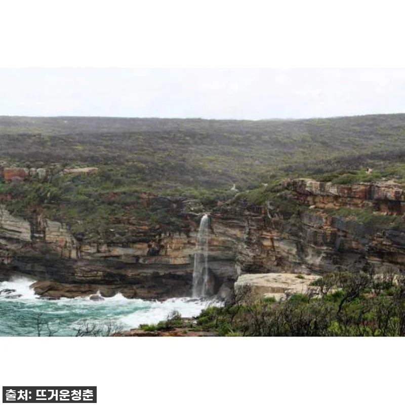 호주 시드니 출발 로열 국립 공원 당 관련 이미지 1