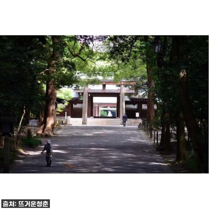 일본 도쿄 개인 맞춤형 6시간 투어 관련 이미지 1