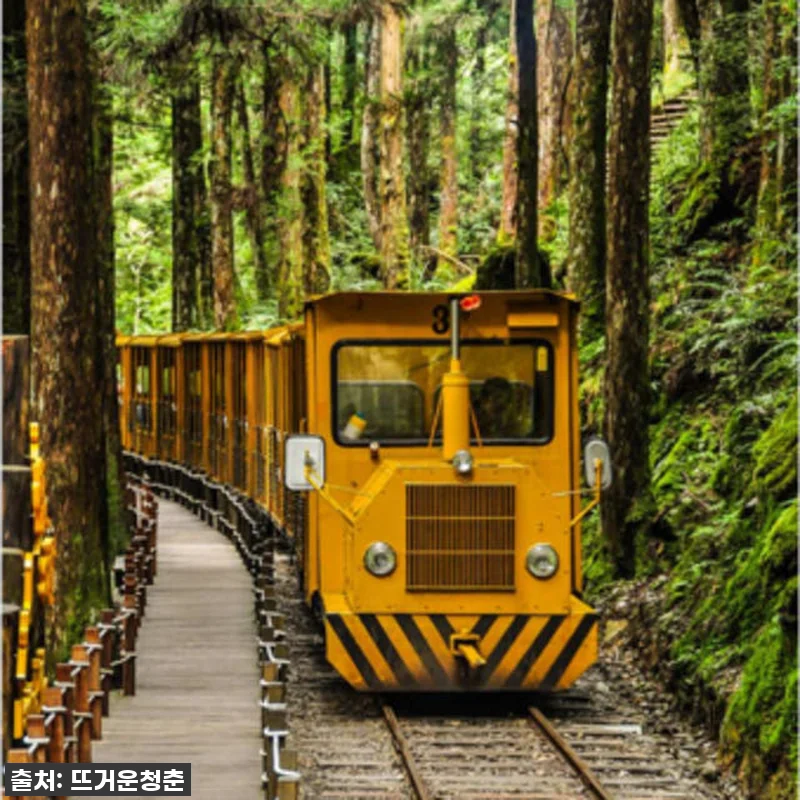 대만 타이핑산 일일투어 체험기: 젠칭 관련 이미지 1