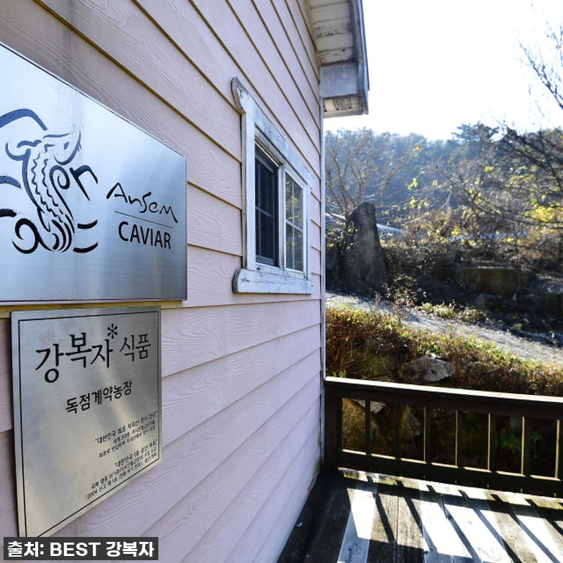 피곤함은 이제 그만! '철갑상어 진액 관련 이미지 2