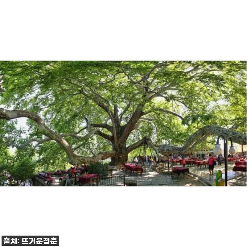 튀르키예 이스탄불 출발 부르사 프라이 관련 이미지 2