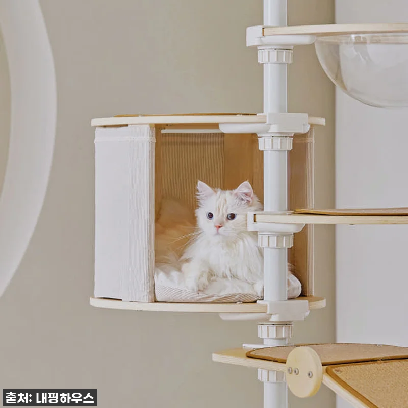 우리 냥님들의 꿈의 궁전! 내핑하우스 관련 이미지 2