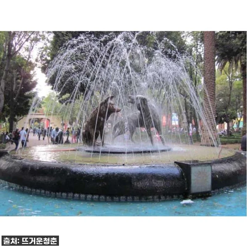 멕시코 멕시코시티 프리다 칼로 박물관 관련 이미지 2