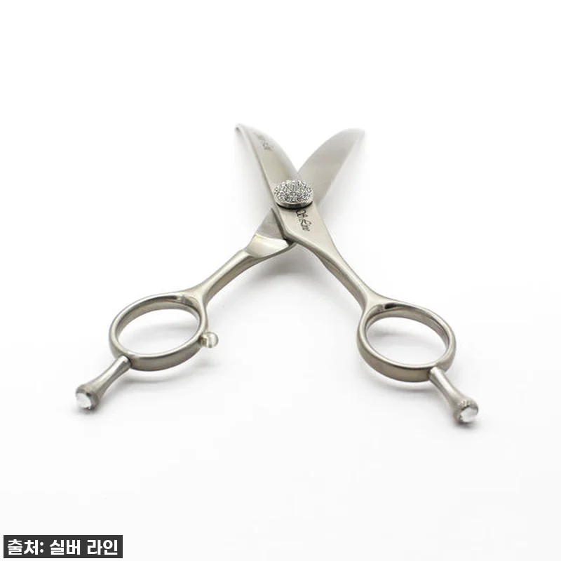 실버라인펫 MHC 강아지 미용 딥커브 관련 이미지 2