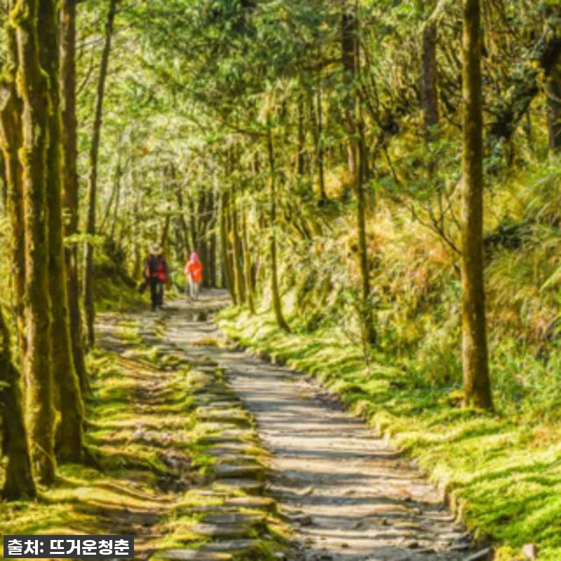 대만 타이핑산 일일투어 체험기: 젠칭 관련 이미지 2