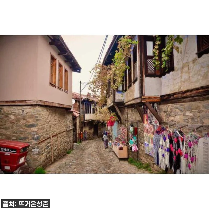 튀르키예 이스탄불 출발 부르사 프라이 관련 이미지 3