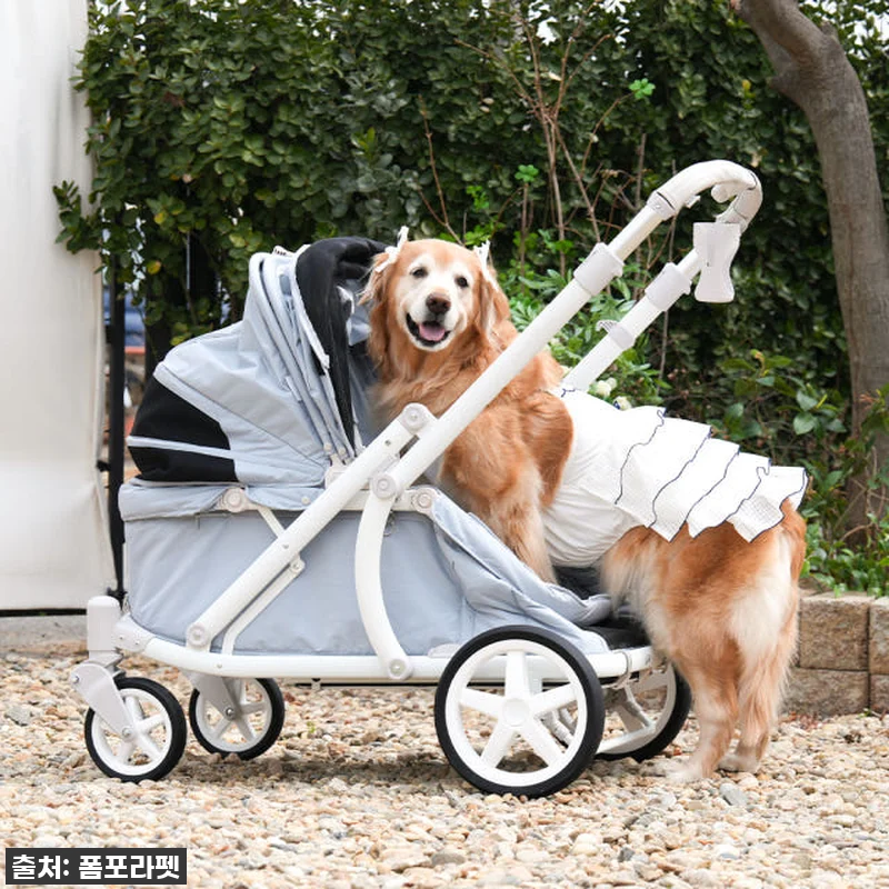 폼포라펫 디럭스 웨건, 우리 댕댕이들 관련 이미지 2