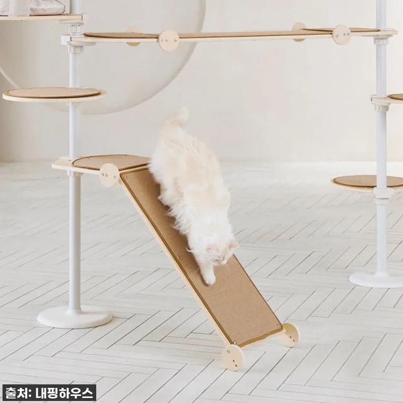 우리 냥님들의 꿈의 궁전! 내핑하우스 관련 이미지 3