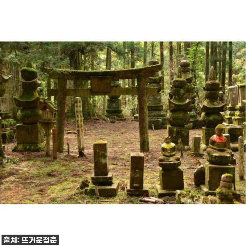 와카야마 고야산, 현지 가이드와 프라 관련 이미지 3