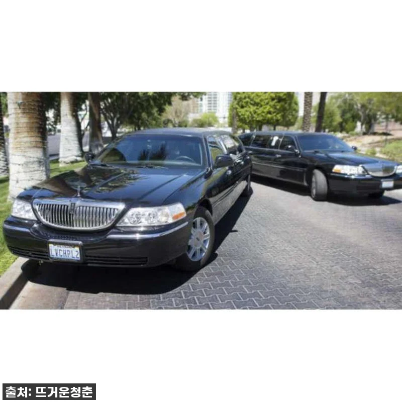 꿈만 같았던 라스베이거스 웨딩, 미국 관련 이미지 3