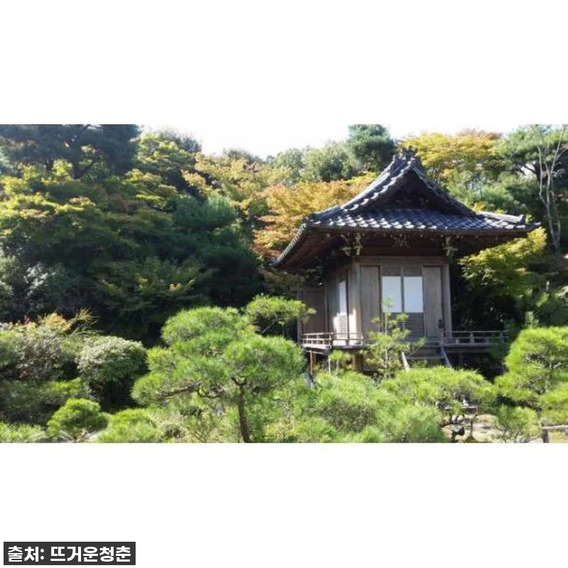 일본 오사카에서 교토까지 개인 하루 관련 이미지 3