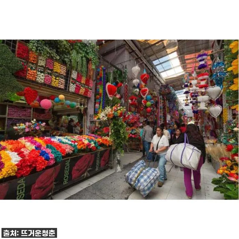 멕시코 멕시코시티 프리다 칼로 박물관 관련 이미지 3