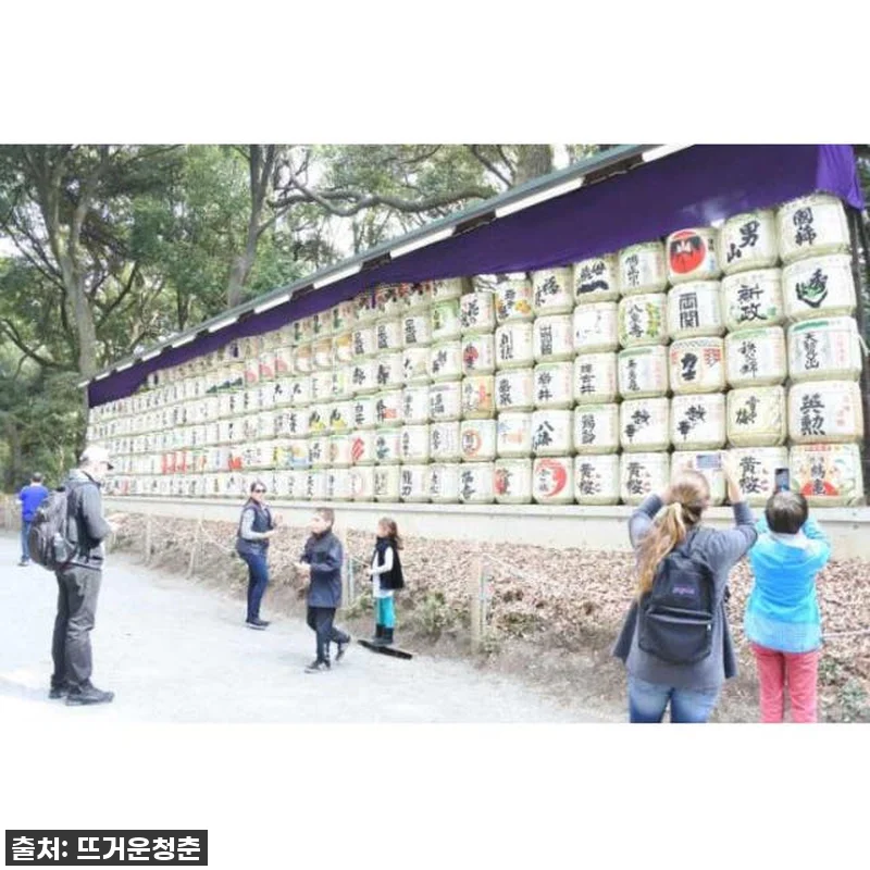 일본 도쿄 개인 맞춤형 6시간 투어 관련 이미지 3