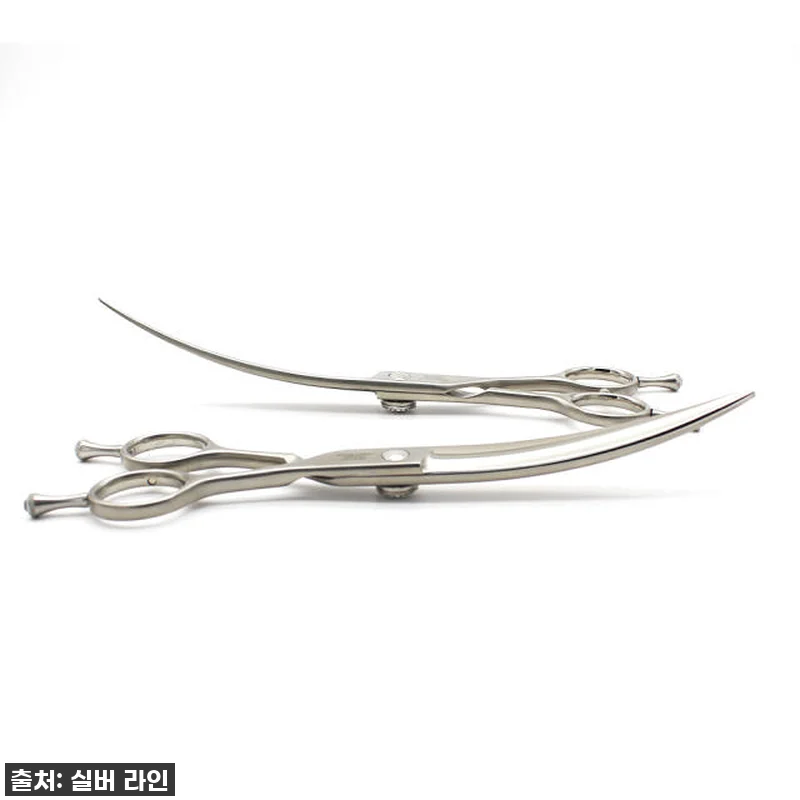 실버라인펫 MHC 강아지 미용 딥커브 관련 이미지 3