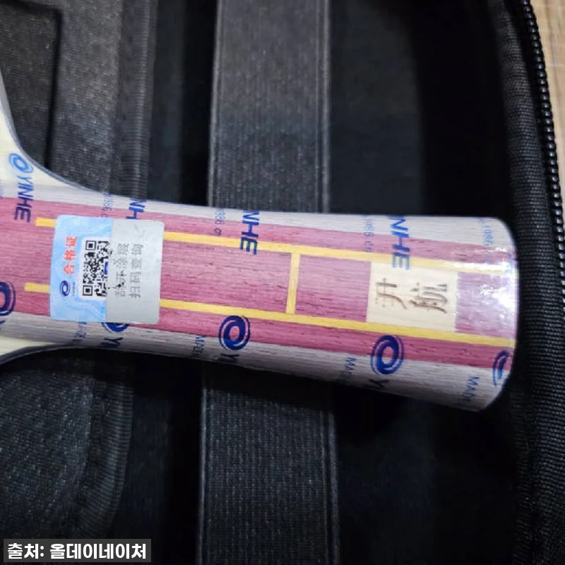 이건 진짜 '선수용'이 맞습니다! 은 관련 이미지 4