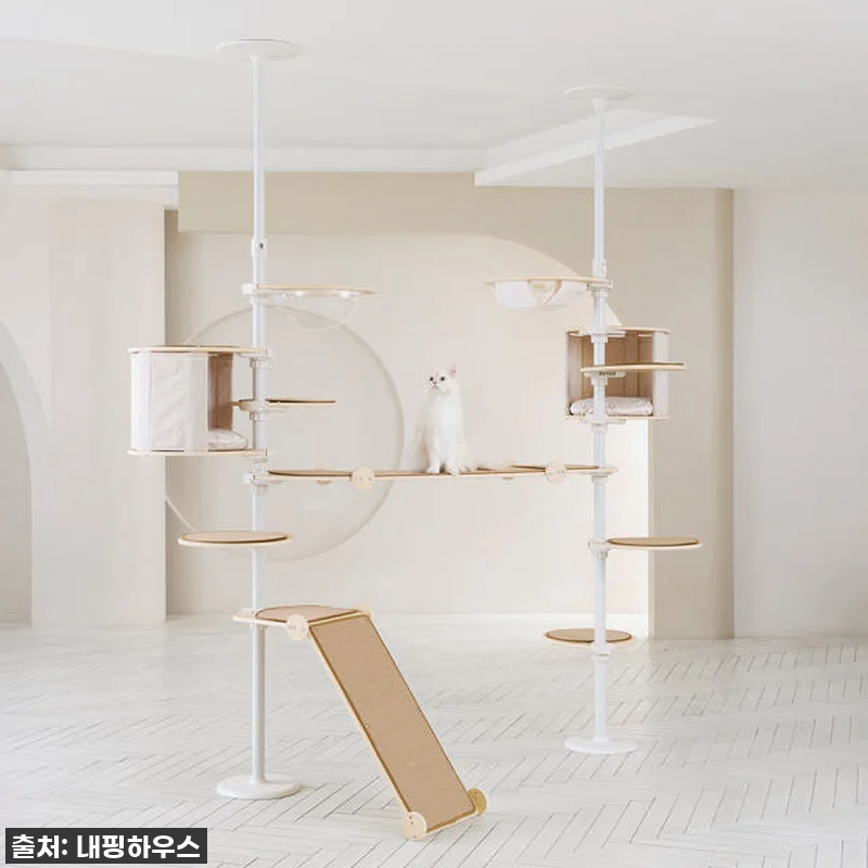 우리 냥님들의 꿈의 궁전! 내핑하우스 관련 이미지 4