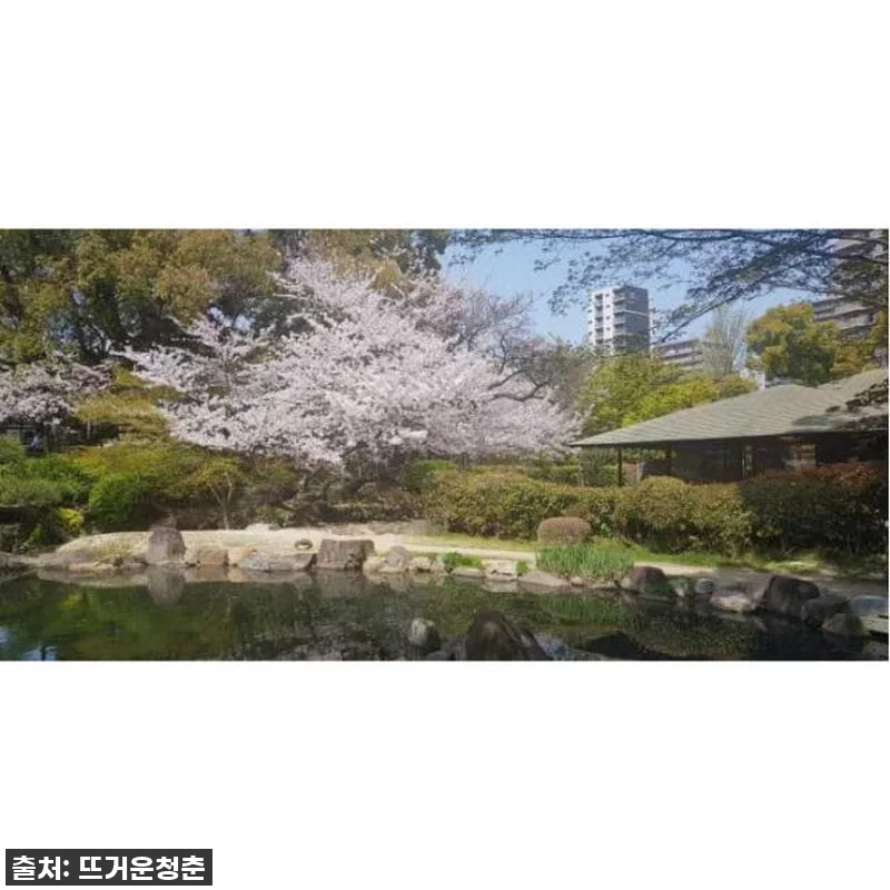 오사카 여행, 품격 있는 하루를 위한 관련 이미지 4