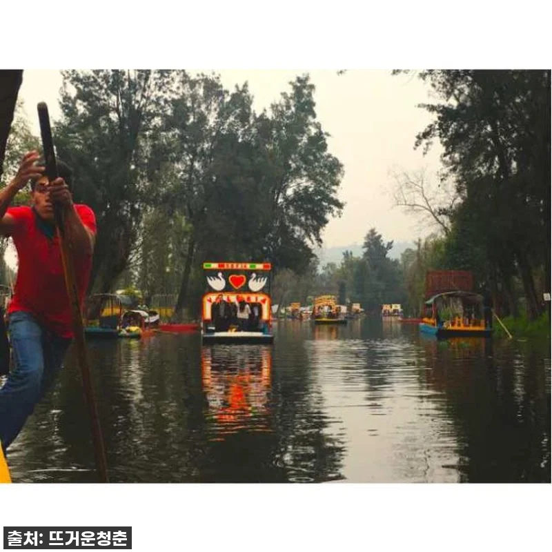 멕시코 멕시코시티 프리다 칼로 박물관 관련 이미지 4