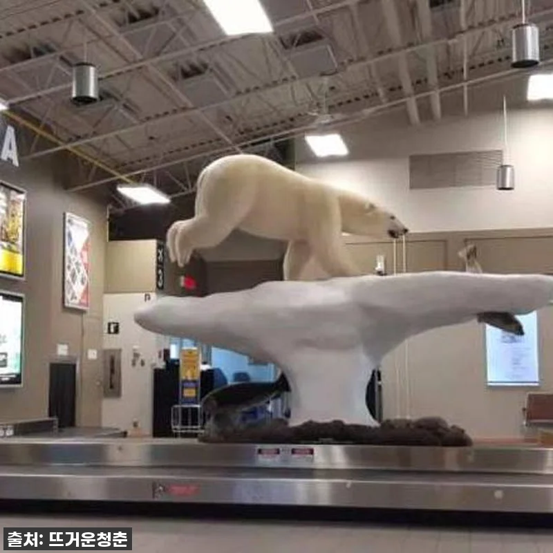 캐나다 옐로나이프 3박4일 오로라투어 관련 이미지 5