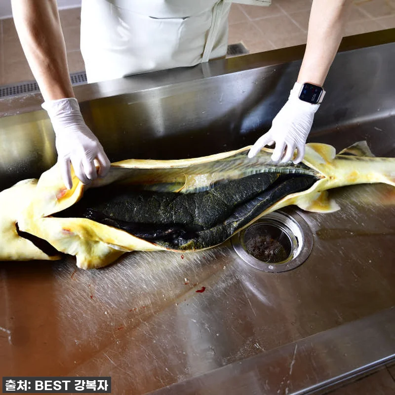 피곤함은 이제 그만! '철갑상어 진액 관련 이미지 6