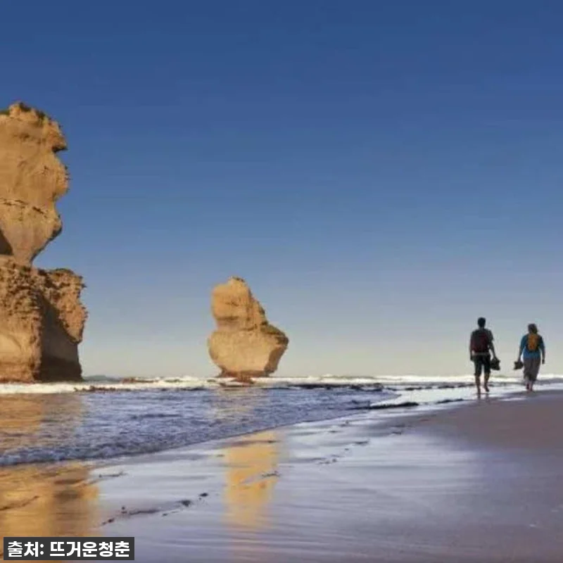 멜버른 여행의 꽃, 그레이트 오션 로 관련 이미지 6