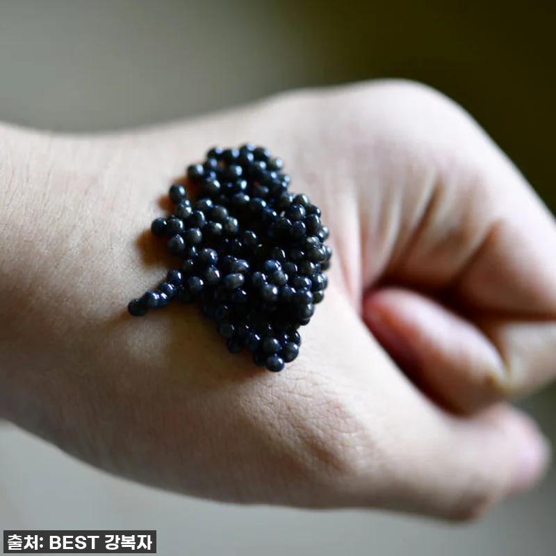 피곤함은 이제 그만! '철갑상어 진액 관련 이미지 7