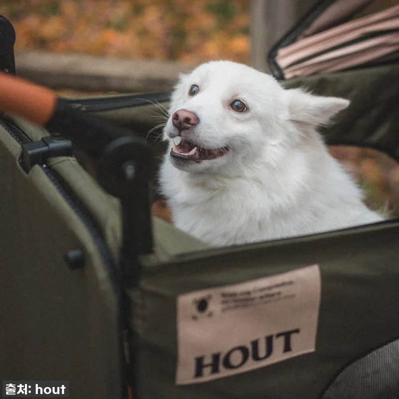 하웃 강아지 유모차 대형견 다견 저상 관련 이미지 7
