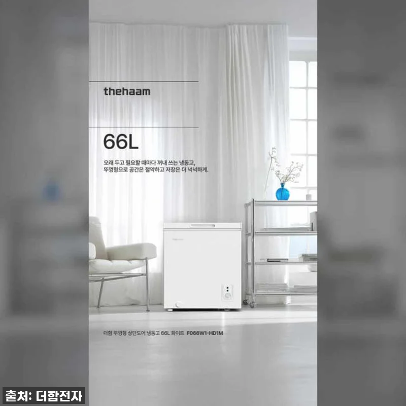 더함 CHIQ 66L 소형 미니 냉동 관련 이미지 9