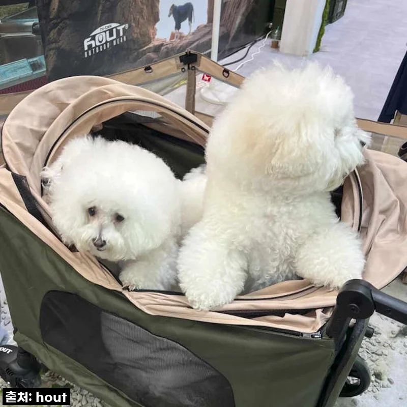 하웃 강아지 유모차 대형견 다견 저상형 개모차, 산책이 즐거워지는 마법 같은 선택!