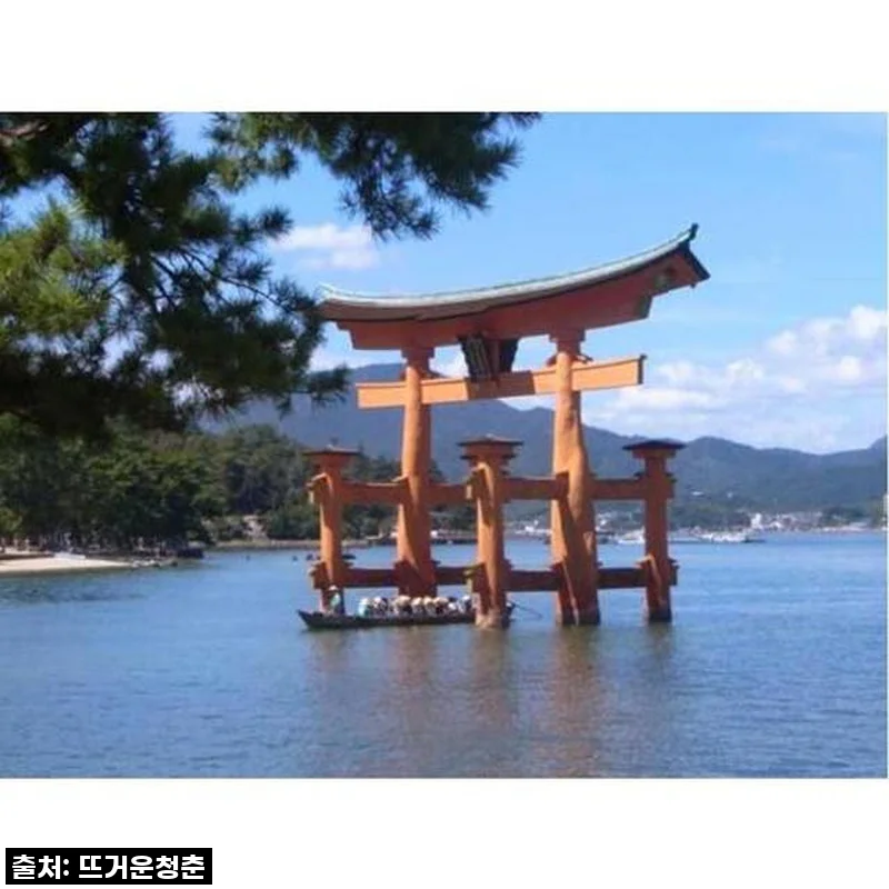 꿈만 같았던 히로시마 미야지마, 프라이빗 일일 투어 후기 (ft. 꼼꼼한 예약 꿀팁)